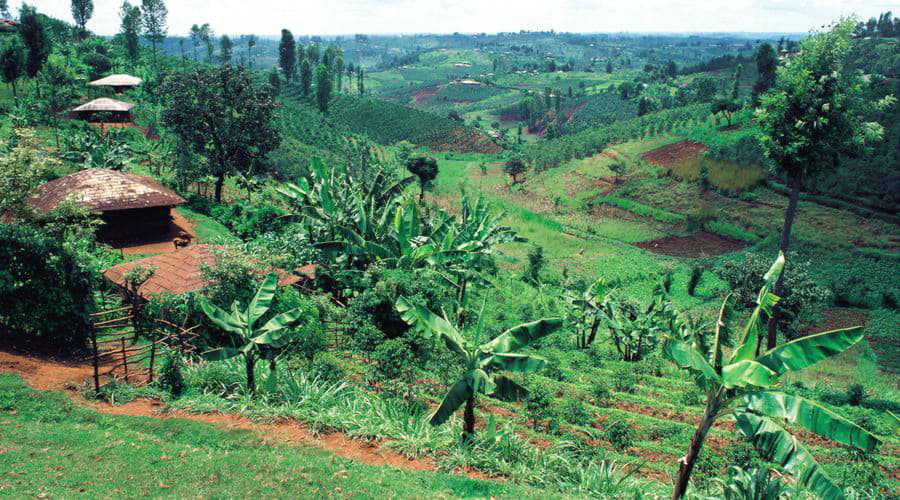 Die beliebtesten Fahrzeugoptionen in Nyeri